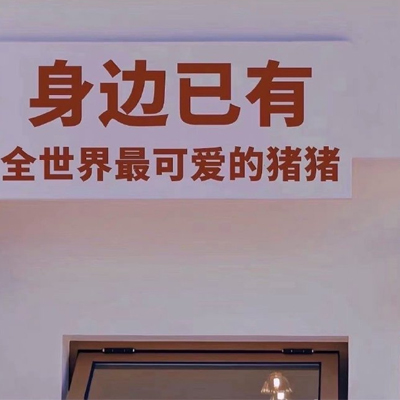 宠物b级知识